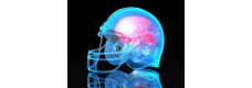Get Your Head Out of the Game: Traumatic Brain Injuries in Sports (Mail)
