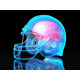 Get Your Head Out of the Game: Traumatic Brain Injuries in Sports (Online)
